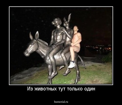 Из животных тут только один