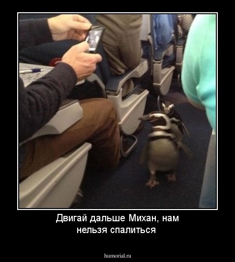 Двигай дальше Михан, нам нельзя спалиться