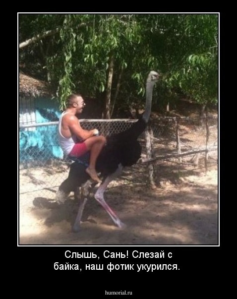 Слышь, Сань! Слезай с байка, наш фотик укурился.
