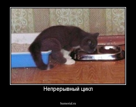 Непрерывный цикл