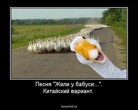 Песня "Жили у бабуси...". Китайский вариант. 