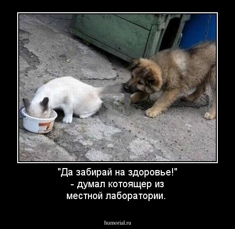 "Да забирай на здоровье!" - думал котоящер из местной  лаборатории.