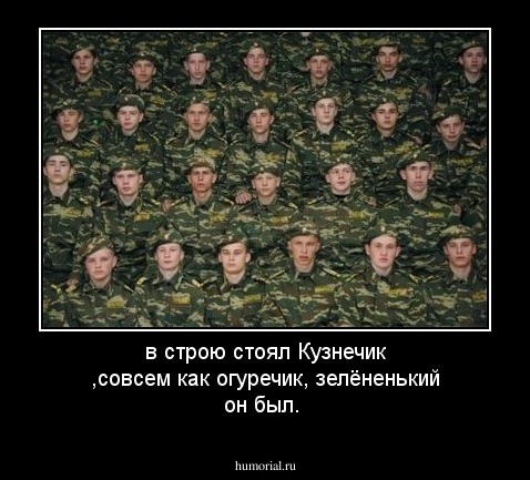 в строю стоял Кузнечик ,совсем как огуречик, зелёненький он был.