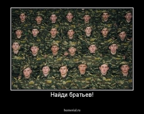 Найди братьев!