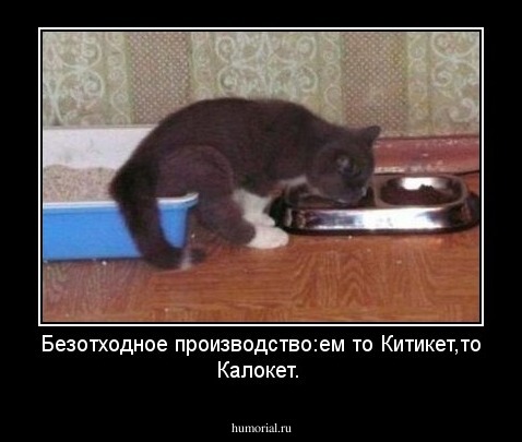 Безотходное производство:ем то Китикет,то Калокет.