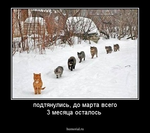 подтянулись, до марта всего 3 месяца осталось