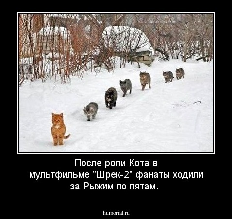 После роли Кота в мультфильме "Шрек-2" фанаты ходили за Рыжим по пятам. 