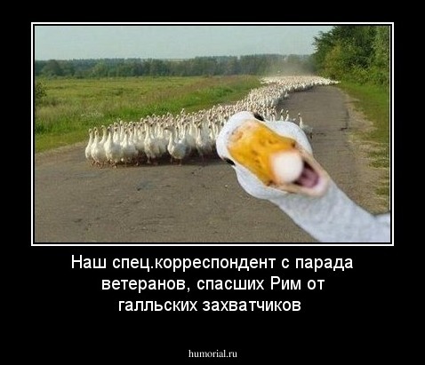 Наш спец.корреспондент с парада ветеранов, спасших Рим от галльских захватчиков