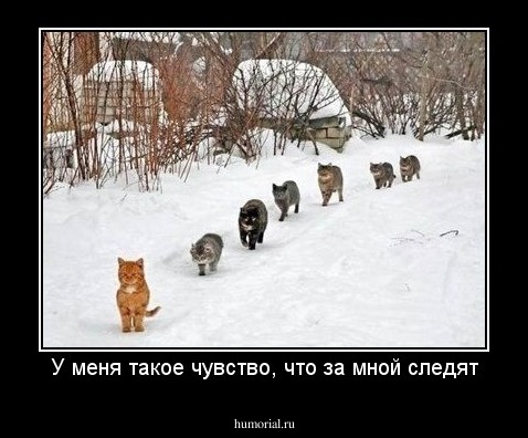 У меня такое чувство, что за мной следят