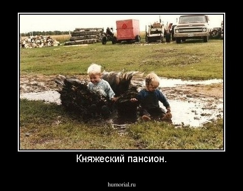 Княжеский пансион.
