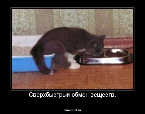 Сверхбыстрый обмен веществ.
