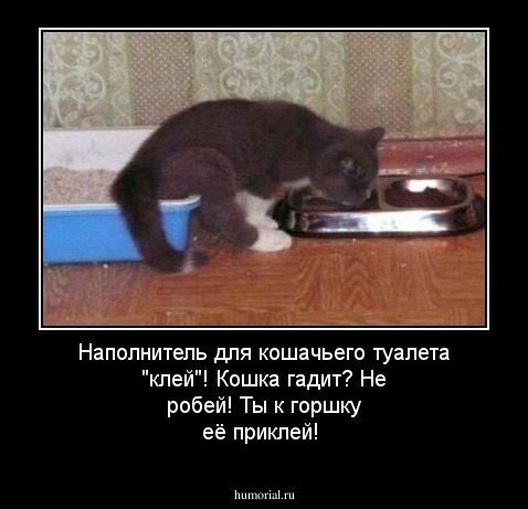 Наполнитель для кошачьего туалета "клей"!                    Кошка гадит? Не робей!                                                                     Ты к горшку её приклей!