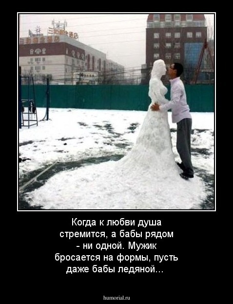 Когда к любви душа стремится, а бабы рядом - ни одной. Мужик бросается на формы, пусть даже бабы ледяной...