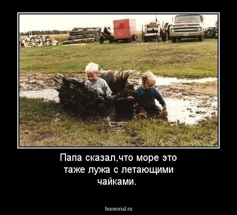 Папа сказал,что море это таже лужа с летающими чайками.