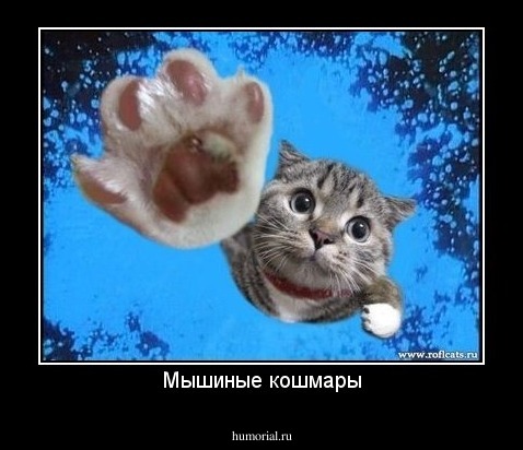 Мышиные кошмары