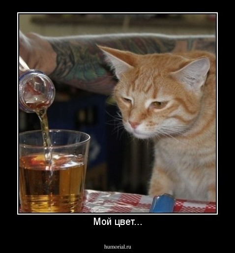 Мой цвет...