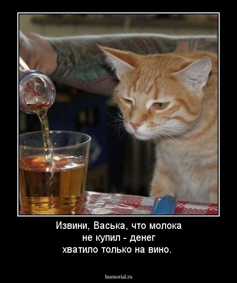 Извини, Васька, что молока не купил - денег хватило только на вино.