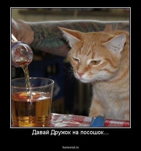 Давай Дружок на посошок...