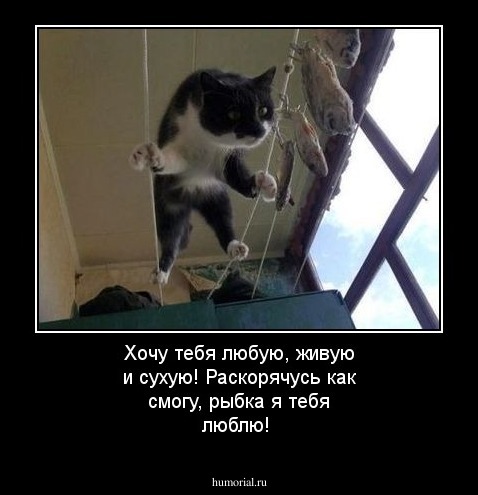 Хочу тебя любую, живую и сухую! 
Раскорячусь как смогу, рыбка  я тебя люблю!

