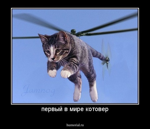 первый в мире котовер