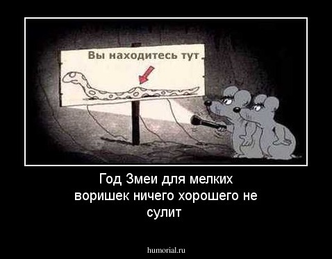 Год Змеи для мелких воришек ничего хорошего не сулит