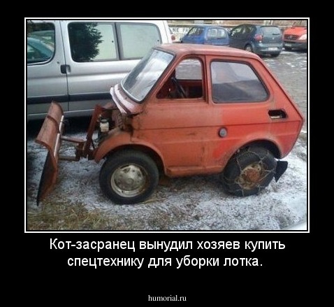 Кот-засранец вынудил хозяев купить спецтехнику для уборки лотка.