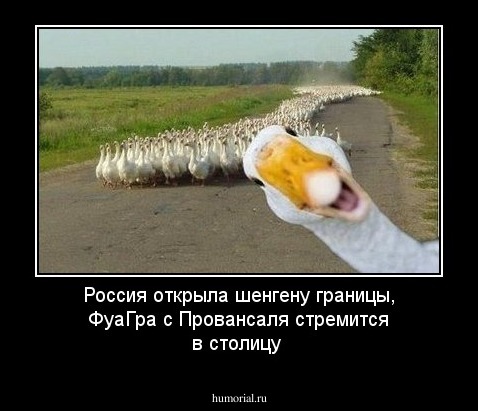 Россия  открыла шенгену границы,
ФуаГра  с Провансаля стремится
в столицу