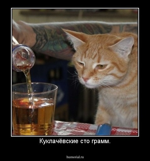 Куклачёвские сто грамм.