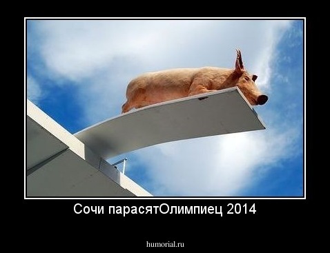 Сочи парасятОлимпиец 2014