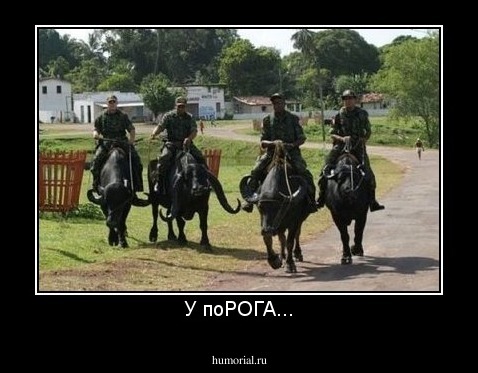 У поРОГА...
