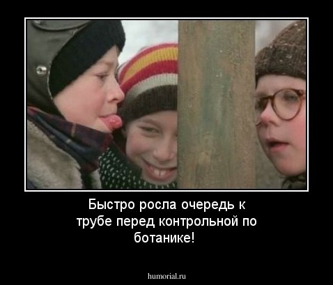 Быстро росла очередь к трубе перед контрольной по ботанике!