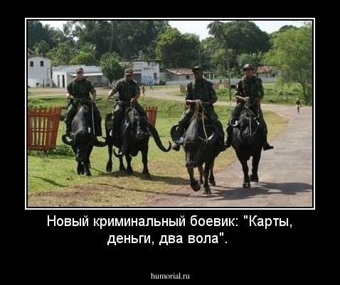 Новый криминальный боевик: "Карты, деньги, два вола".