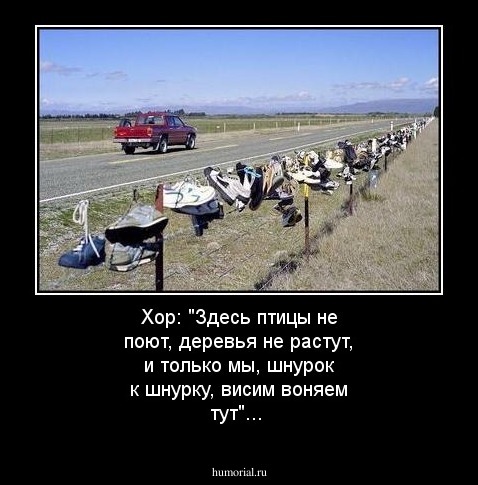 Хор: "Здесь птицы не поют, деревья не растут, и только мы, шнурок к шнурку, висим воняем тут"...