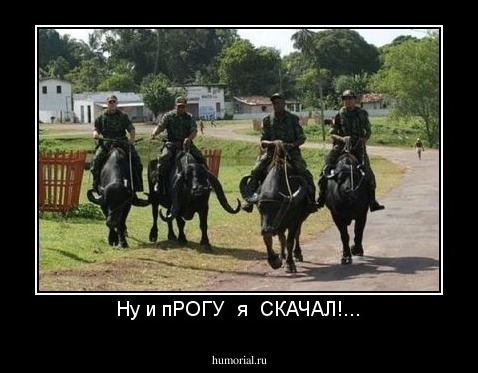Ну и пРОГУ  я  СКАЧАЛ!...