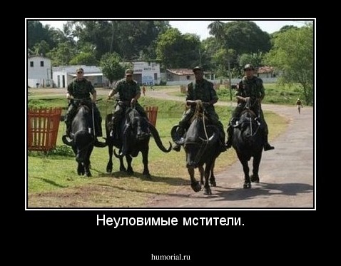 Неуловимые мстители.