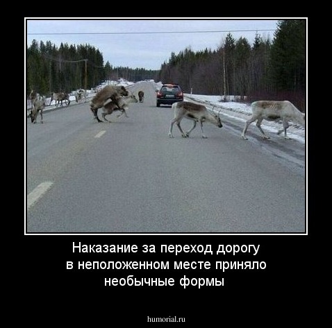 Наказание за переход дорогу в неположенном месте приняло необычные формы