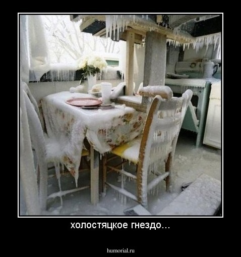 холостяцкое гнездо...