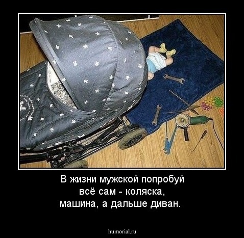 В жизни мужской попробуй всё сам - коляска, машина, а дальше диван.

