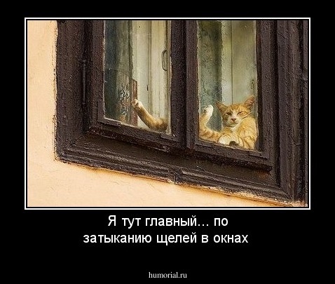 Я тут главный... по затыканию щелей в окнах