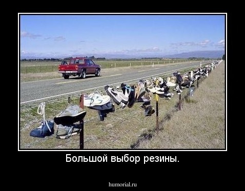 Большой выбор резины.