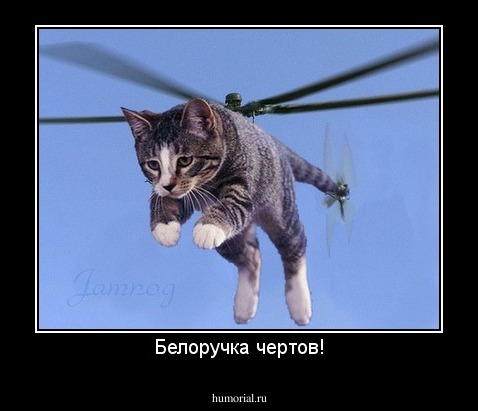 Белоручка чертов!
