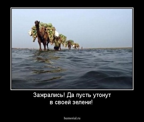 Зажрались! Да пусть утонут в своей зелени!