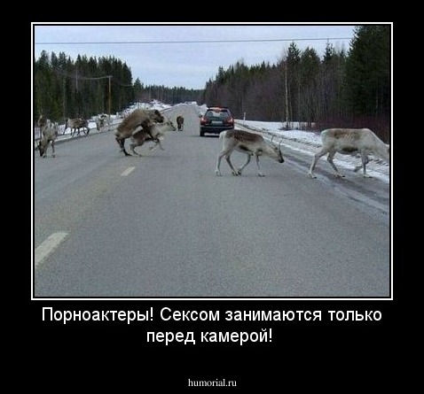 Порноактеры! Сексом занимаются только перед камерой!