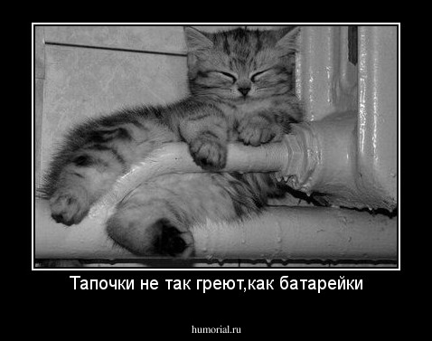 Тапочки не так греют,как батарейки