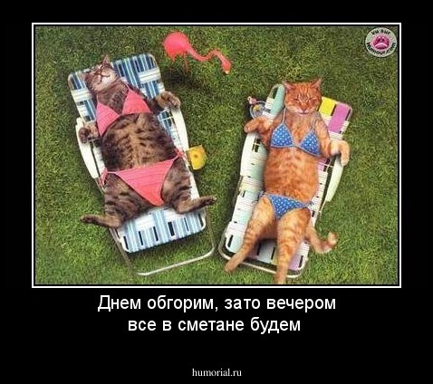 Днем обгорим, зато вечером все в сметане будем