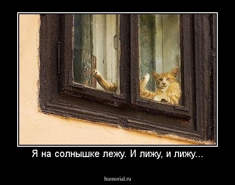 Я на солнышке лежу. И лижу, и лижу...