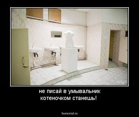 не писай в умывальник котеночком станешь!