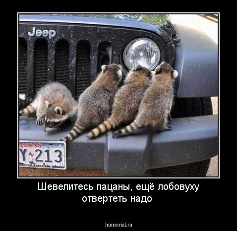 Шевелитесь пацаны, ещё лобовуху отвертеть надо