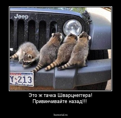 Это ж тачка Шварцнеггера! Привинчивайте назад!!!