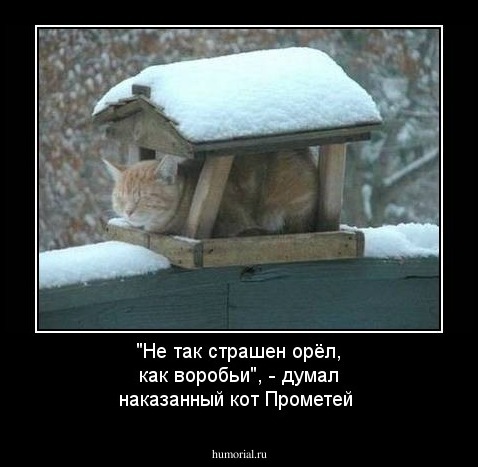 "Не  так страшен орёл, как воробьи", - думал  наказанный кот Прометей
